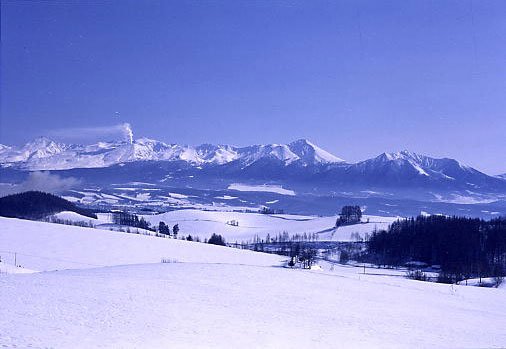 雪原