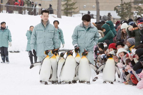 旭山動物園物語