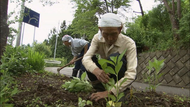  花のあとさき 